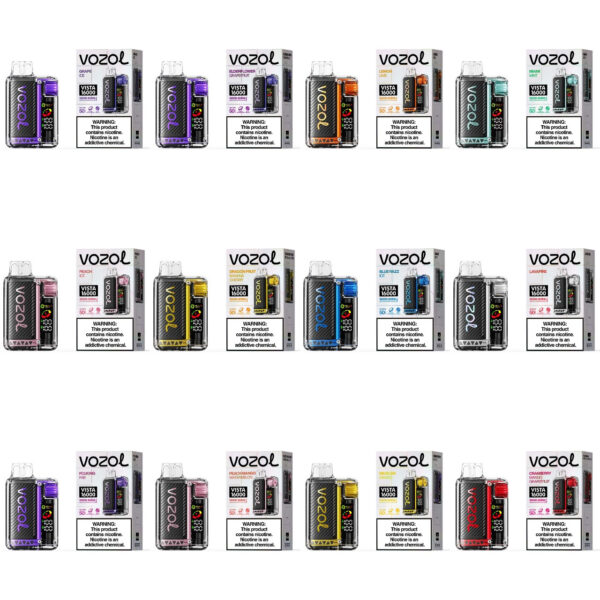 Vozol Vista 16,000 Puff Disposable
